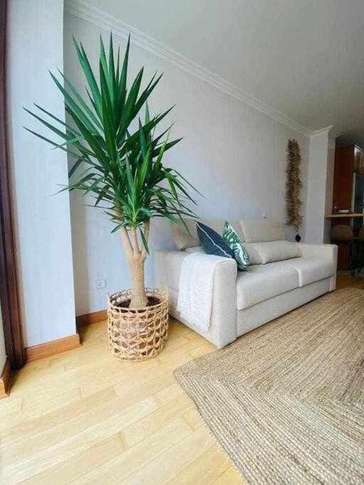 Apartament Corrida 37 Apartamento Gijón Zewnętrze zdjęcie
